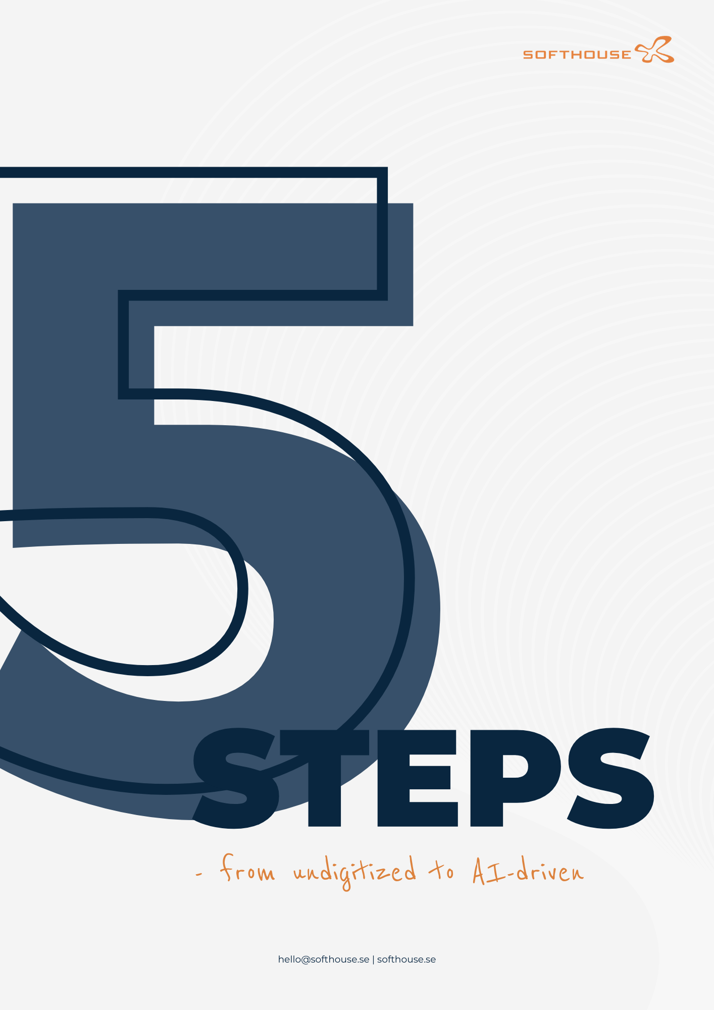 NEW English first page 5 steps - from undigitalized to AI-driven [for publishing]